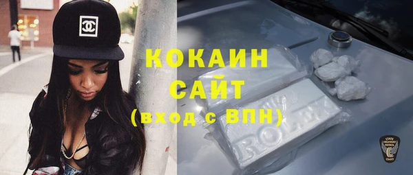 стафф Дмитровск