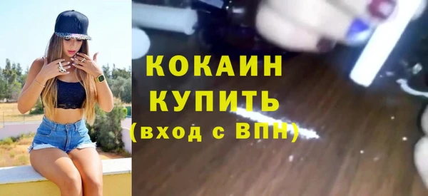 шишки Дмитриев