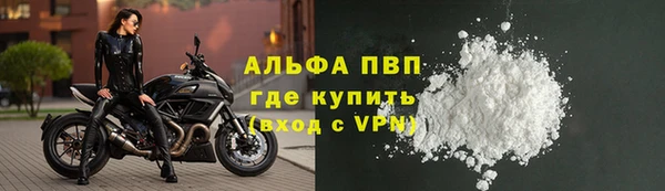 шишки Дмитриев
