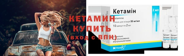 шишки Дмитриев