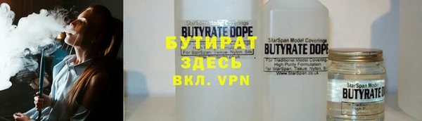 шишки Дмитриев