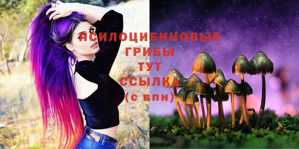 скорость Дмитров