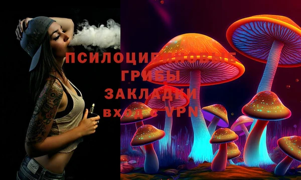 шишки Дмитриев