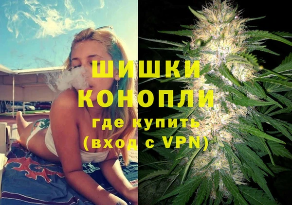 шишки Дмитриев