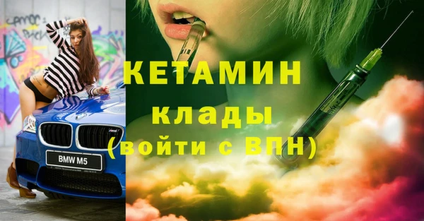 шишки Дмитриев