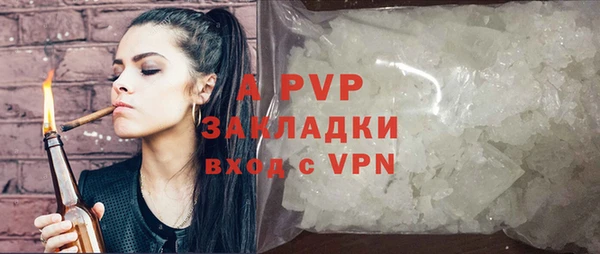 шишки Дмитриев
