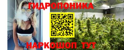 герыч Кингисепп