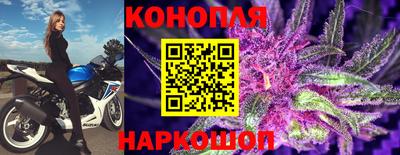 герыч Кингисепп