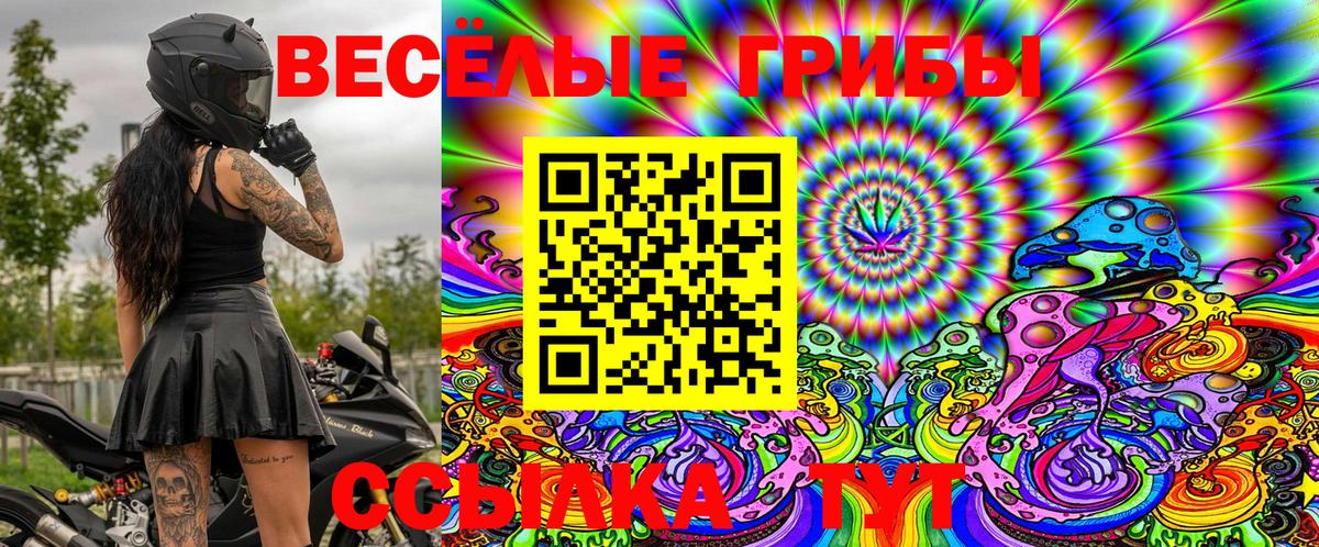 Псилоцибиновые грибы Psilocybe  Галлюциногенные грибы Psilocybe  Рузаевка 