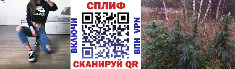 blacksprut зеркало  Рузаевка  Бошки Шишки White Widow 
